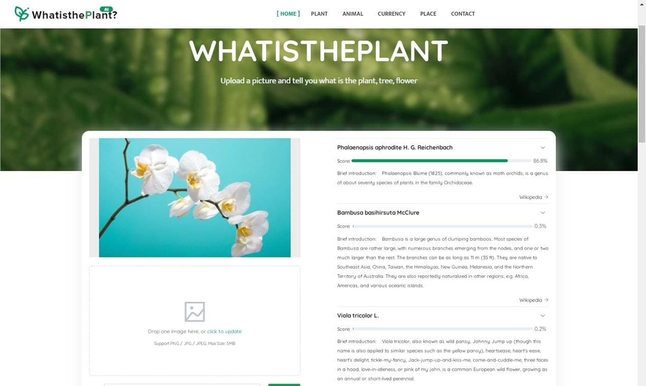 Advantages of AI Plant Identifier