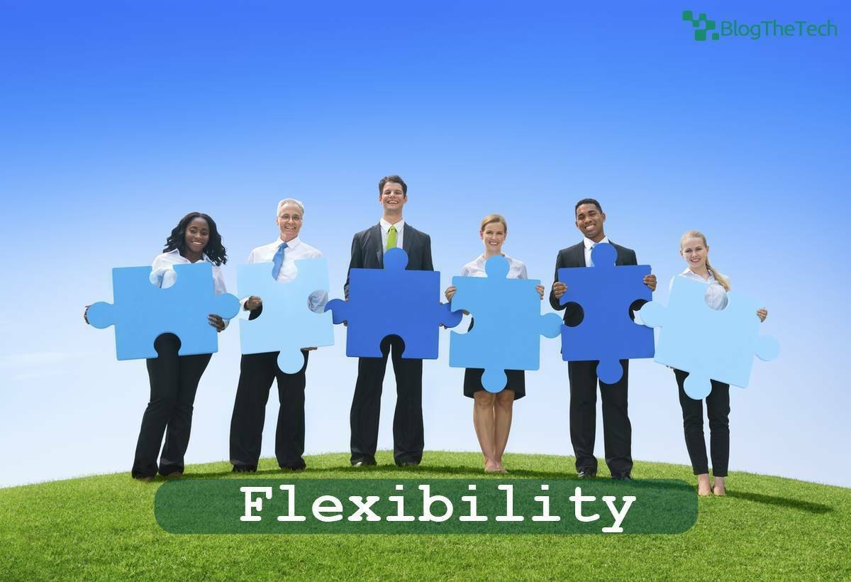 Flexibility