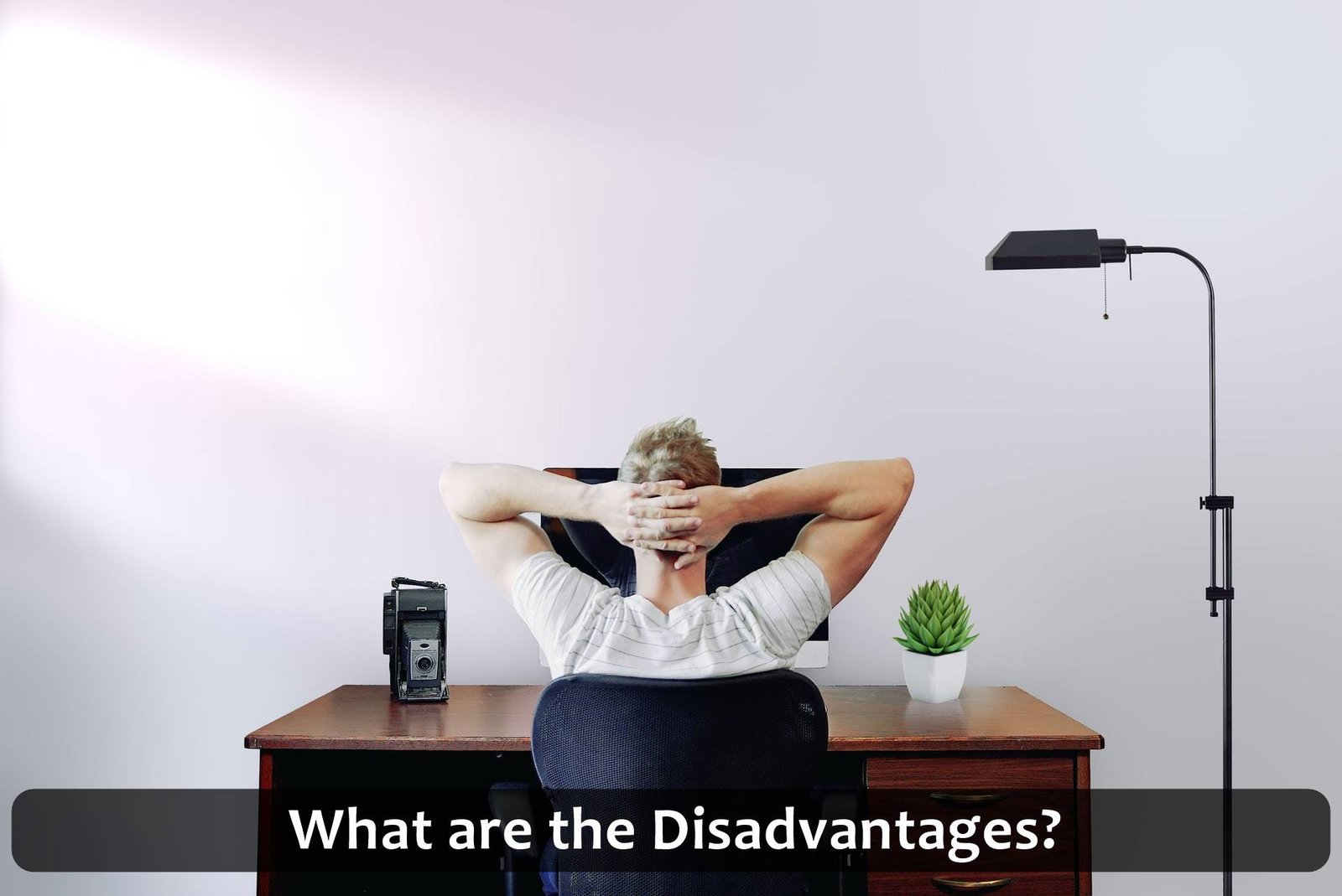 What are the Disadvantages?