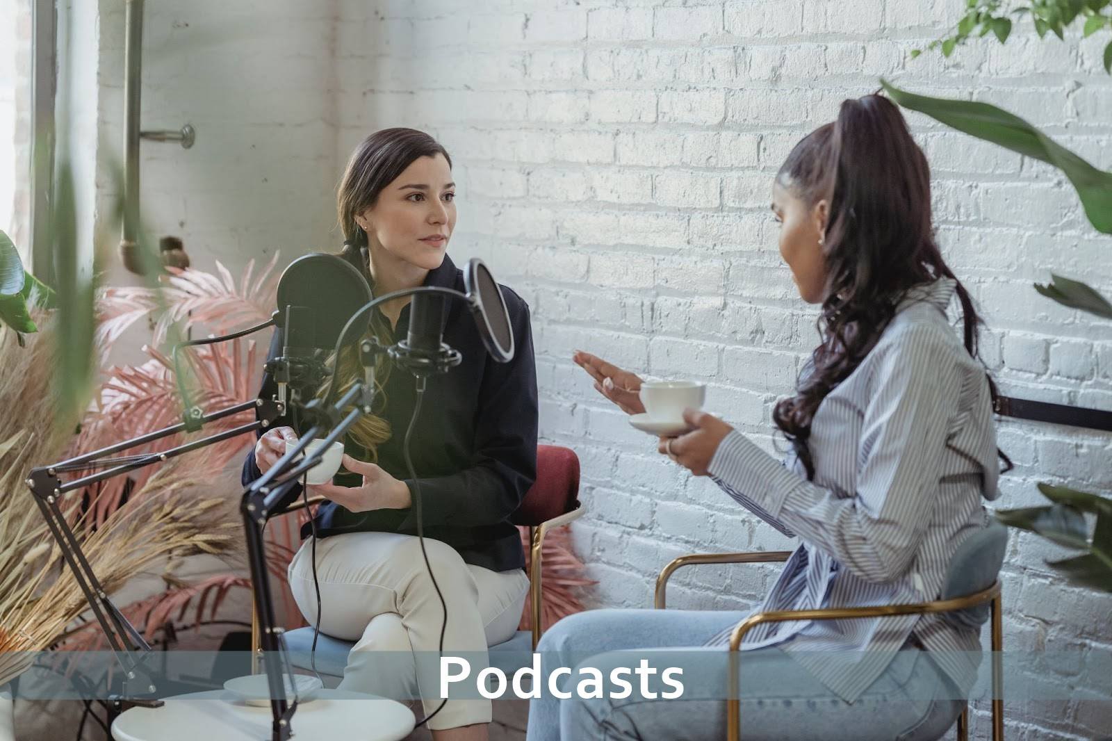 podcasts winning-marketing-strategies-by-popular-brands:podcast