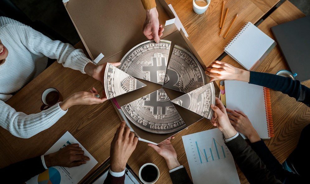 Emotional Influences in Bitcoin Investment